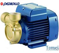 Elettropompa pompa acqua con girante periferica Ottone Pedrollo PQm60-Bs 0,4 HP