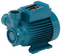 ELETTROPOMPA POMPA MOTORE ACQUA CALPEDA CTM60/A PERIFERICA MONOFASE