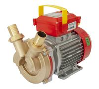 ROVER Pompa Elettrica 30mm Bronzo Argento Acqua Vino Gasolio