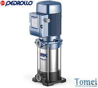 Elettropompa pompe per acqua centrifuga multistadio asse verticale in Noryl 2 HP