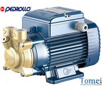 Elettropompa pompe per acqua di superficie con girante periferica PV 70 Pedrollo