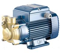 Elettropompa pompe per acqua di superficie con girante periferica PVm81 Pedrollo