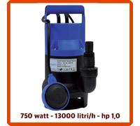 elettropompa sommersa acqua pompa ad a immersione acque scure 750W sommergibile