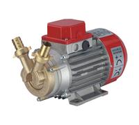Rover Pompe Pompa Travaso 12V Marina 20