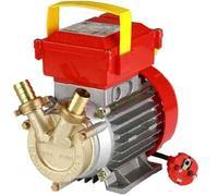 ELETTROPOMPA TRAVASO LIQUIDI POMPA BRONZO Ø 30 mm - 1 Hp - 4500 l/h