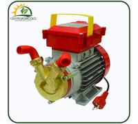 ELETTROPOMPA TRAVASO LIQUIDI POMPA BRONZO ROVER POMPE 20CE - 0.5HP 230V