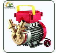 ELETTROPOMPA TRAVASO LIQUIDI POMPA BRONZO ROVER POMPE 25CE - 0.8HP 230V