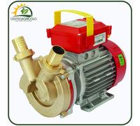 ELETTROPOMPA TRAVASO LIQUIDI POMPA BRONZO ROVER POMPE 30CE - 0.8HP 230V