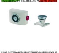 ELETTROSBLOCCO BIANCO X PORTA REI TAGLIAFUOCO TRAZIONE 50 KG ANTINCENDIO A 24 V