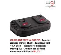 ELETTROSEGA A 2 BATTERIE LITIO VOLT 36 ONLY1 EXCEL A CATENA