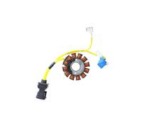 ElettroSport Alternatore statore ESG194