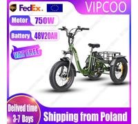 Elettrotriciclo 750W Motore Brushless 48V20AH Batteria Può Inversione 20*4.0-In E-Trike città per adulti Fat Tire Cargo Elettro triciclo 750W 48V20AH Deliverd 3-7 DAYS