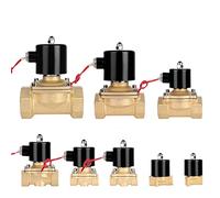 Elettrovalvola 1/4; 3/8; 1/2; 3/4; 1; DN8/10/15/20/25/50 normalmente chiusa pneumatica for acqua, olio, aria 12V 24V 220V 1 pz(220v,DN8)