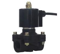 Elettrovalvola 2A/2W-160-15 DN15 plastica 4 minuti subacqueo speciale controllo elettronico (DC12V)