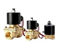 Elettrovalvola 2W Normalmente Chiusa In Ottone DN6/8/10/15/20/25 1/4"3/8"1/2"3/4"1" 12V 220V 24V 110V Pneumatica Acqua Olio Elio Gas(2W350-35 DN35,AC220V)