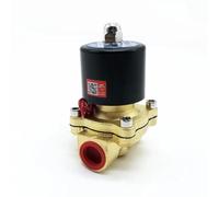 Elettrovalvola 2W160-15 Valvola in ottone normalmente chiusa a 2/2 porte G1/2(AC110V)