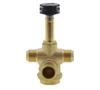 Elettrovalvola a solenoide della pompa del compressore d'aria con scarico di spurgo e valvola di ritegno Caratteristiche per mantenere stabile la pressione dell'aria e ridurre il rumore (A)
