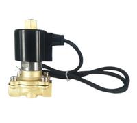 Elettrovalvola a solenoide for fontana in ottone normalmente aperta IP68 da 1 "Impermeabile 110 V 24 12 for subacquea(Viton-seal,24VDC)