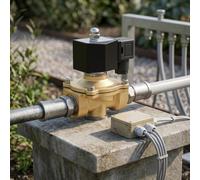 Elettrovalvola a solenoide in ottone fuso resistente Dn15 normalmente chiusa per controllo del flusso di gas liquido Ac24v Ac380v Ac110v resistente alle intemperie industriale (AC110V)