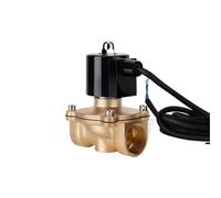 Elettrovalvola a solenoide normalmente chiusa da 1" DN25, in ottone, 110 V, 24 V, 12 V, 24 V, per sott'acqua (G_220VAC_NBR-Seal)