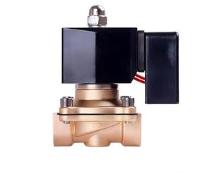 Elettrovalvola a solenoide normalmente chiusa non calda da 1" in ottone 220V 12V 24V for lavori di lunga durata(DC24)