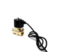 Elettrovalvola a solenoide per fontana in ottone normalmente chiuso, IP68, impermeabile, 110 V, 24 V, 12 V, 24 V, per sott'acqua (24 V CC)