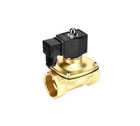 Elettrovalvola acqua 1-1/4 "IP65 impermeabile normalmente chiusa in ottone DN32 elettrovalvola 24V 12V 220V 110V(BSP-12VDC-EPDM-SEAL)
