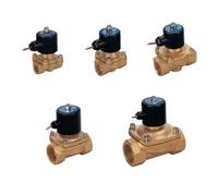 Elettrovalvola acqua 1PC G2 "2W500-50 serie 2W(UW) Chiusura normale (NC)(110V)