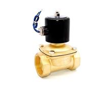 Elettrovalvola acqua 2 pollici 12v DN50 2W-500-50 NPT G Ottone Normalmente chiusa NBR ad alta temperatura -5-80 gradi(2inch NPT,110VAC)