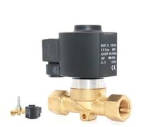 Elettrovalvola CO2 ad alta frequenza da 1/2" DN15 Valvola di controllo unidirezionale in ottone dell'acqua AC220V