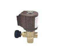 Elettrovalvola compatibile con caldaia ad acqua calda sotto vuoto a gasolio(AC220V)