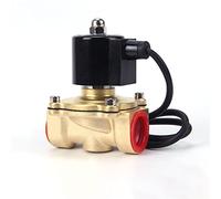 Elettrovalvola DN8/10/15/20/25/50 normalmente chiusa pneumatica 1 pz(Ac220v,DN15)