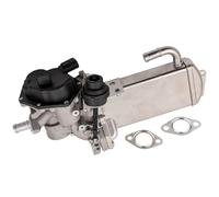 Elettrovalvola Egr Raffreddatore Valvola Egr per Audi A4 8K B8 A6 4G C7 A5 8T Q5 8R 2.0 Tdi 03L131512Bq