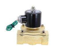 Elettrovalvola elettrica da 1 "DC12V DC24V AC220V 110V normalmente chiusa 2W-250-25 valvola pneumatica a solenoide in ottone for acqua olio aria(DC 24V)