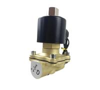 Elettrovalvola elettrica for acqua da 1/2 pollice, normalmente aperta, in ottone, 2W160-15(AC110V)