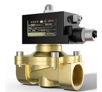 Elettrovalvola elettrica Ottone Normalmente chiusa Filettatura femmina Valvole for acqua a controllo naturale 24V 220V(Dn50,24VDC)