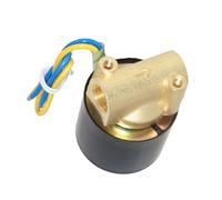 Elettrovalvola Elettrico Da 1/4 di Pollice Dc 12v per L'acqua L'aria