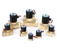 Elettrovalvola for acqua serie 2W - Valvola di controllo elettromagnetica monoblocco ad alte prestazioni for una gestione efficiente dei fluidi(2W320-32 AC220V)