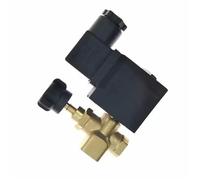 Elettrovalvola for caldaia da stiro regolabile a 2 vie con vapore ad alta temperatura DL-6C/6K/6F 220V(DL-6C 220V)