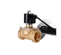 Elettrovalvola for fontana in ottone normalmente chiusa IP68 da 2", 110 V, 24 V, 12 V, 24 V, elettrovalvola subacquea(12VDC)