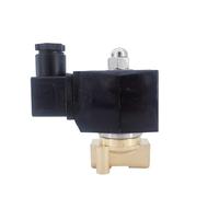 Elettrovalvola for pompa a vuoto normalmente chiusa, AC220V 24V DC 12V, 2 vie, in ottone, 1 bar a, 1/4 3/8 pollici(1/4",DC24V)
