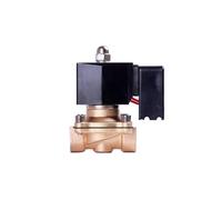 Elettrovalvola Hydropower da 1 pollice 24VDC funzionamento a risparmio energetico for 12 ore(2W-25 VITONSEAL,NPT_12VDC)