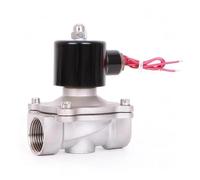 Elettrovalvola in acciaio inossidabile da 1'', 220 V, 12 V, 24 V, normalmente chiusa, ad azione diretta(1" Npt Thread,AC220)