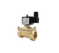 Elettrovalvola in ottone normalmente chiusa da 3/8" 1/2" 3/4" 1" DN10 DN15 DN20 12V/220V for acqua, olio, aria IP65(DN15,DC12V)