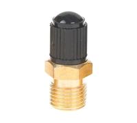 Elettrovalvola M10*1、1/8 NPT、1/4 NPT Monitoraggio della pressione della valvola del pneumatico dell'automobile 1/4 1/8 Valvola(A)