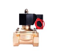 Elettrovalvola non a solenoide in ottone 24VDC 12VDC 110VAC 220v normalmente chiusa da 1-1/4 "per elettrovalvola funzionante 24 ore su(220VAC)