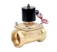 Elettrovalvola Normalmente Chiusa Da 2-1/2" 220 V, Flusso D'acqua A Due Vie | Tutta la bobina di rame, la tubazione di ingresso e di uscita, universale(AC220V)