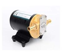 Elettrovalvola, Pompa Grande DC flusso ingranaggio della pompa olio 12V 24V 14L / min Pompa autoadescante Diesel for oli lubrificanti Olio motore, Costruzione solida(12V)