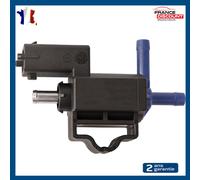 Placchetta Anteriore Sinistro + Pulsante Alzacristallo Destra Pinze