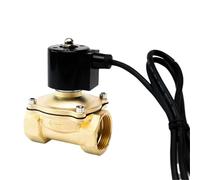 Elettrovalvola subacquea normalmente chiusa in ottone da 2" IP68 impermeabile 110 V 24 V 12 V 24 V Elettrovalvola(G_12VDC)